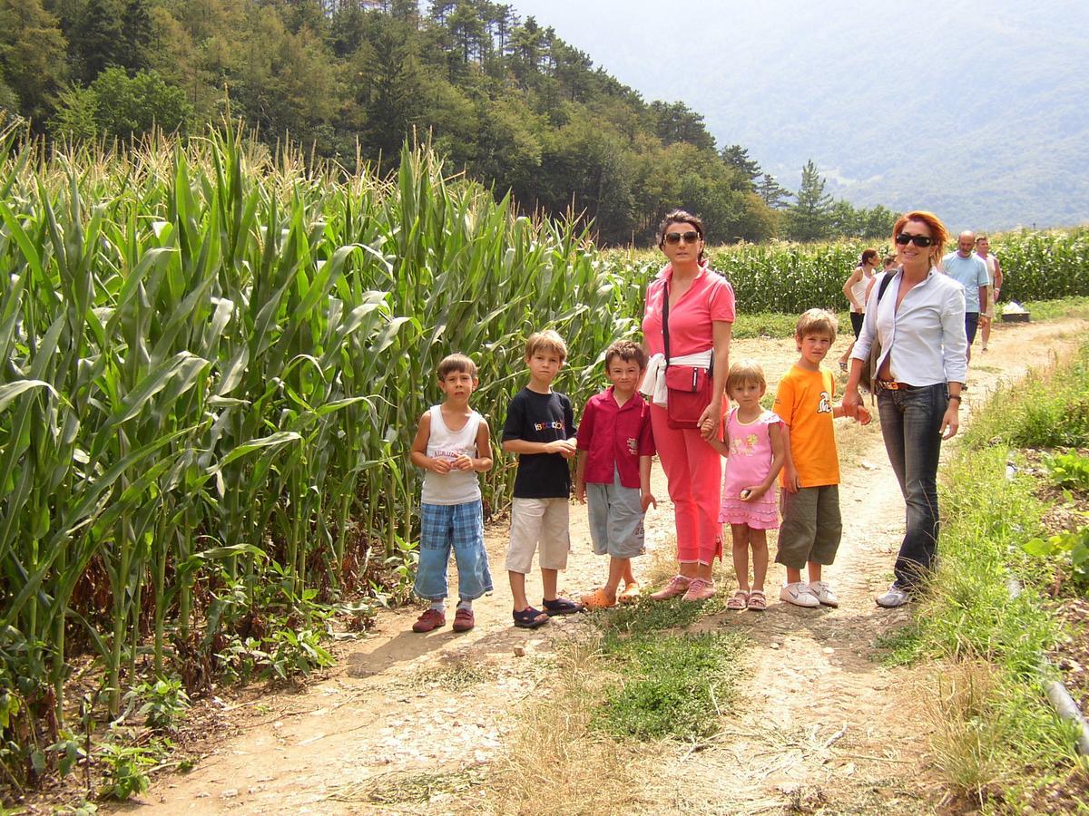 Ca' dei Boieti casa vacanze Ronzo-Chienis Esterno foto